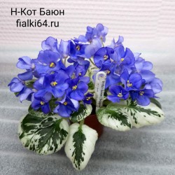 Н-Кот Баюн (Бердникова)  